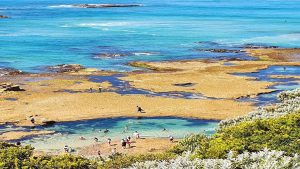 tourism-guide-australia-Rock Pools-Sorrento-Back-Beach